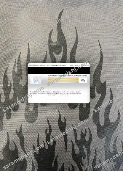New Zealand BNZ Greymouth Bank visa electron card photolook back